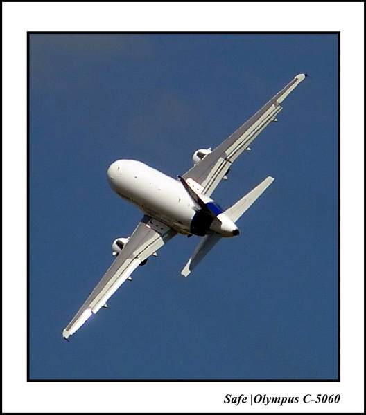 2005   06   A318   1.jpg